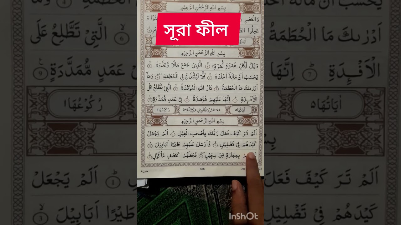 arabic recitation surah fil beautiful telawat #foryou