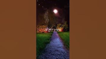قرآن كريم #️⃣ بصوت الشيخ ياسر الدوسري #قرآن_كريم_أرح_قلبك_وسمعك #سنرحل ويبقى الأثر 🌸