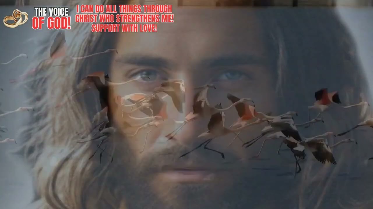 Your mind keeps calculating… My plan is higher than your fear