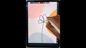 Will you try this boho art #art #artist #drawing #digitalart #procreate #shorts