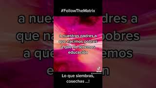 Lo que siembras cosechas … by Follow The Matrix - Community -. 2 views 11 months ago 5 minutes, 20 seconds