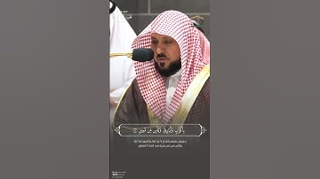مقتطف من تلاوة الشيخ #ماهر_المعيقلي من عشاء 6 محرم 1446هـ