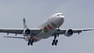 EVA AIR エバー航空 A330-300 ハローキティサンリオ special livery 