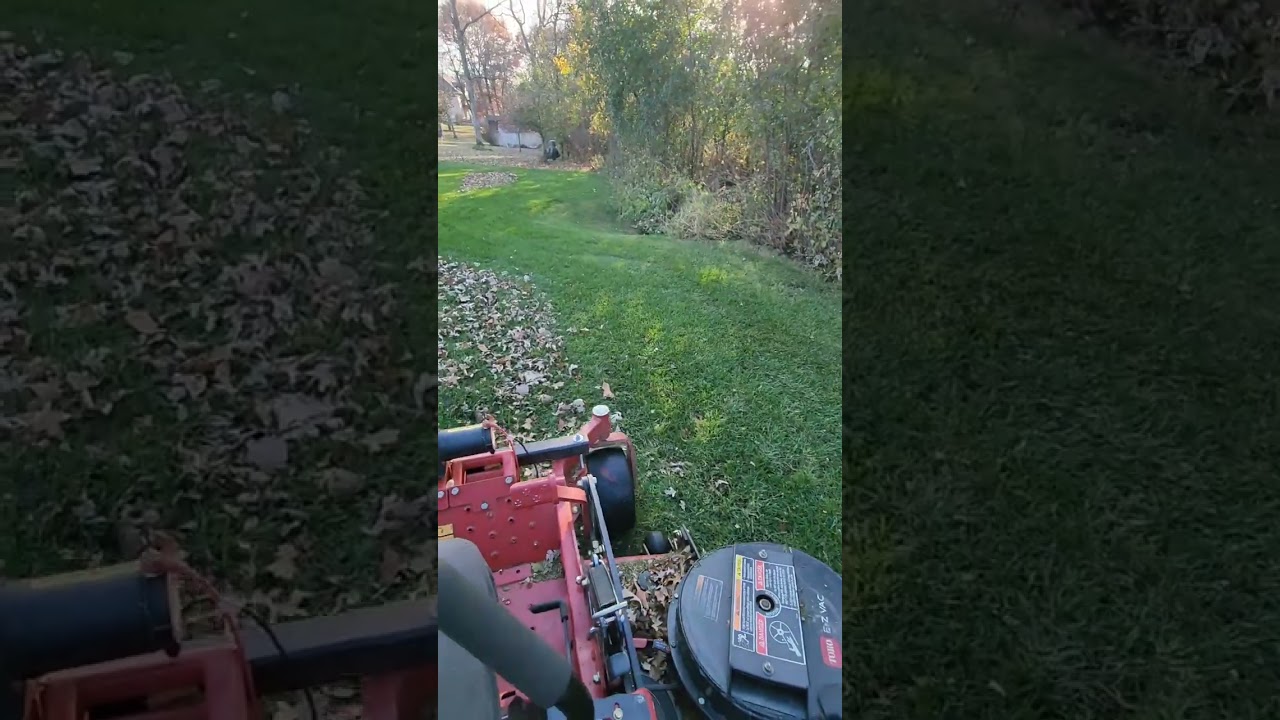 Premium Leaf Cleanup! 