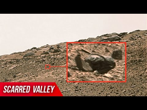 Frost Wedging Patterns on Mars seen on latest 4K images from NASAs Perseverance and Curiosity Frost Wedging Patterns on Mars seen on latest 4K images from NASAs Perseverance and Curiosity