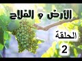 الارض و الفلاح الحلقة الثانية بعنوان شجرة العنب 