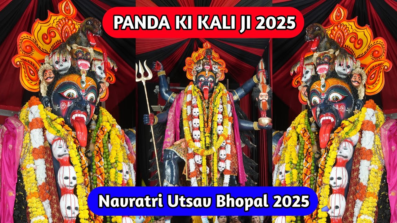 BHOPAL KI SABSE FAMOUS KALI JI KA BHAVYA AAGMAN 2025 | PANDA KI KALI JI BHOPAL 2025 | #kalimai #kali