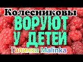 Колесниковы /Воруют у детей /Обзор Влогов /