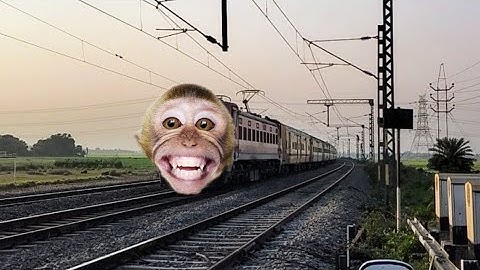 Funny Monkey Face Malda Town Intercity Express Furious Moving Throughout at Railgate.