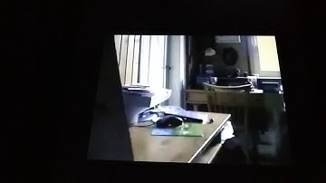 My reaction when goanimate for schools is shutting down in 2019