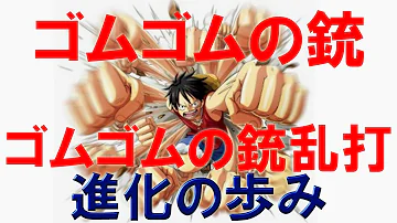 ワンピースルフィの進化