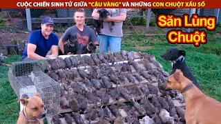 Cuộc Chiến Sinh Tử Giữa 