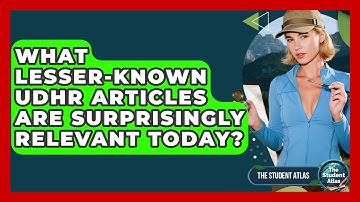 What Lesser-known UDHR Articles Are Surprisingly Relevant Today? - The Student Atlas