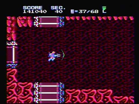 Section Z NES 122 669