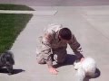 U.S Soldier And Two Dogs Reunions