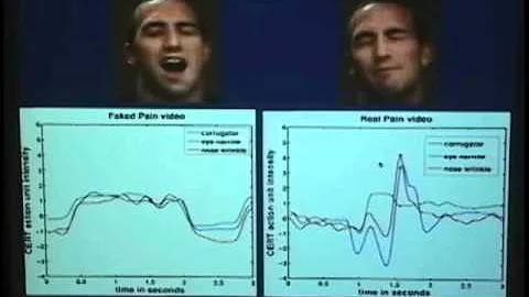 "Automatic Facial Expression Analysis for Measurement of Pain and Stress" by Gwen Littlewort,