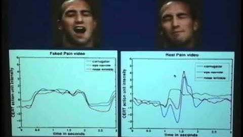 "Automatic Facial Expression Analysis for Measurement of Pain and Stress" by Gwen Littlewort,