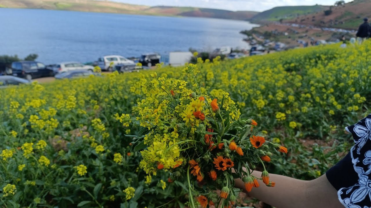 جمال الطبيعة خلابةا الى الواد المالح 🌳🌲🌊