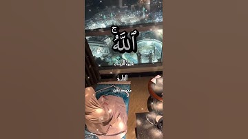 القارئ محمد الفقيه.     سورة النساء