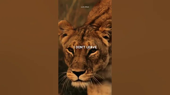 Sigma rule 😎🔥~ Attitude status 😈 | WhatsApp status | Attitude quotes #shorts #quotes #attitude