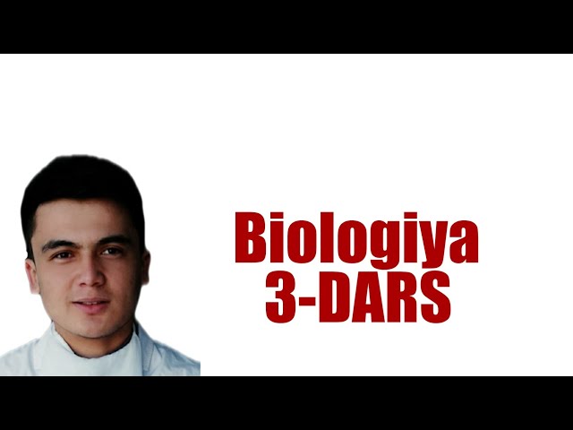 Biologiya 3 - DARS ( To'qima , ildiz , Poya ) | Биология 3 - ДАРС ( Токима , Илдиз , Пояалар ) class=