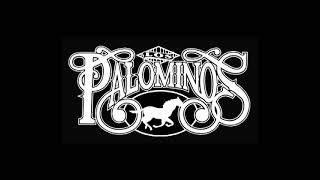 Johnny Dj - Palominos Mix