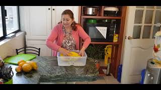 Refri inteligente Jumbo 9.9 litros Tupperware