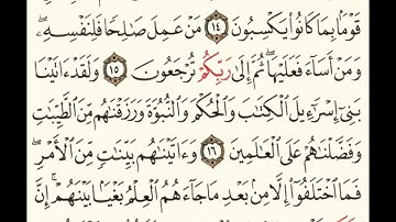 #احفظ وتعلم سورة الجاثية من (١٤) إلى (١٧) مع الشيخ محمد يوسف المصري