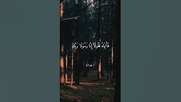 (قَالَ لَا تَخَافَآۖ إِنَّنِي مَعَكُمَآ أَسۡمَعُ وَأَرَىٰ ) القارئ يوسف عثمان