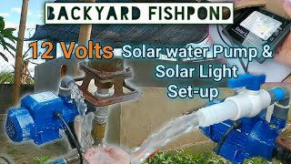 Solar Water Pump Setup for Backyard Fishpond #palaisdaansabakuran #concretefishpond #solarpump