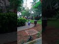 Morning Walk