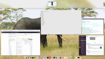 Building a CRUD app in Ember with Ember Data - Part 2
