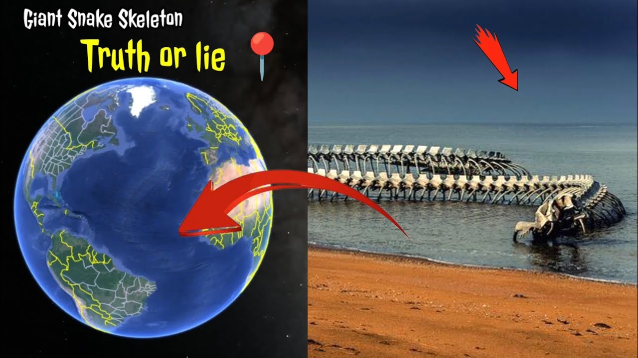 i found giant strange snake skeleton on Google map and google earth 