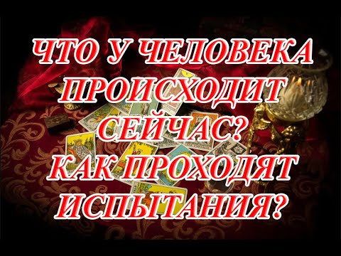 дорога добра текст. песня добро я люблю. песня добро я люблю. песня дорога добра текст песни. текст песни.