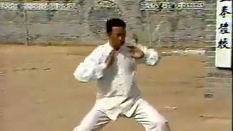 Chenjiagou 1984 - Early Demonstrations of Chen style Taijiquan by the Big Four and others