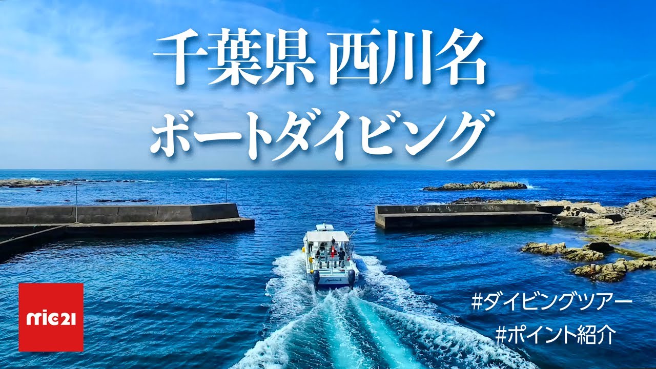 ポイント紹介】千葉県 館山市 西川名 ボートダイビング 魚影 大群 大型
