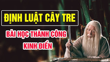 Bài Học Thành Công Kinh Điển Từ Định Luật Cây Tre