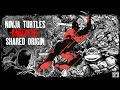 Teenage Mutant Ninja Turtles and Daredevil&#39;s...SHARED ORIGIN?!