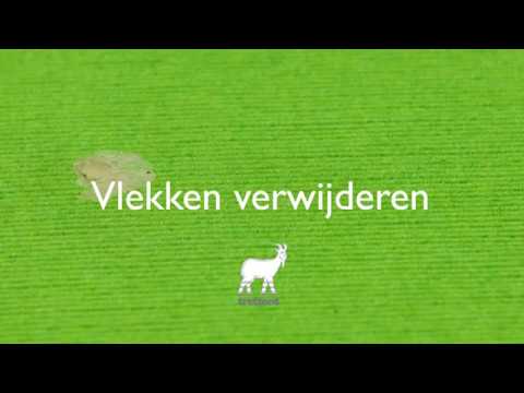 Kauwgom verwijderen - tretford Tapijt