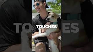 Shelter Shoutout Bideawee