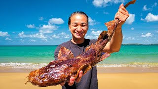 Spearfishing WOBBEGONG SHARK Catch, Clean and Cook!