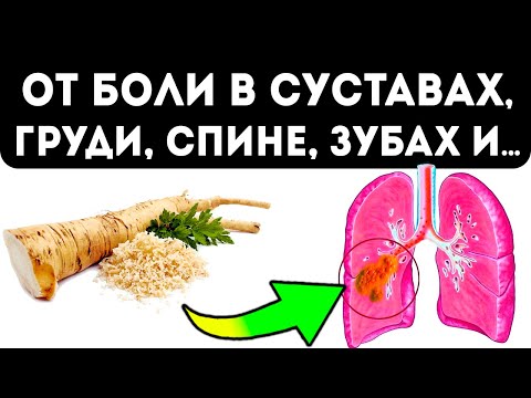 Болезни в шоке! Кусочек хрена выжигает соли, гной, слизь и даже…