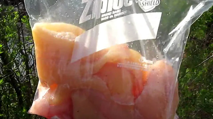 BWCAW Island RIver 2010