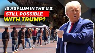 One month into Trump's immigration purge: is asylum in America even still possible?