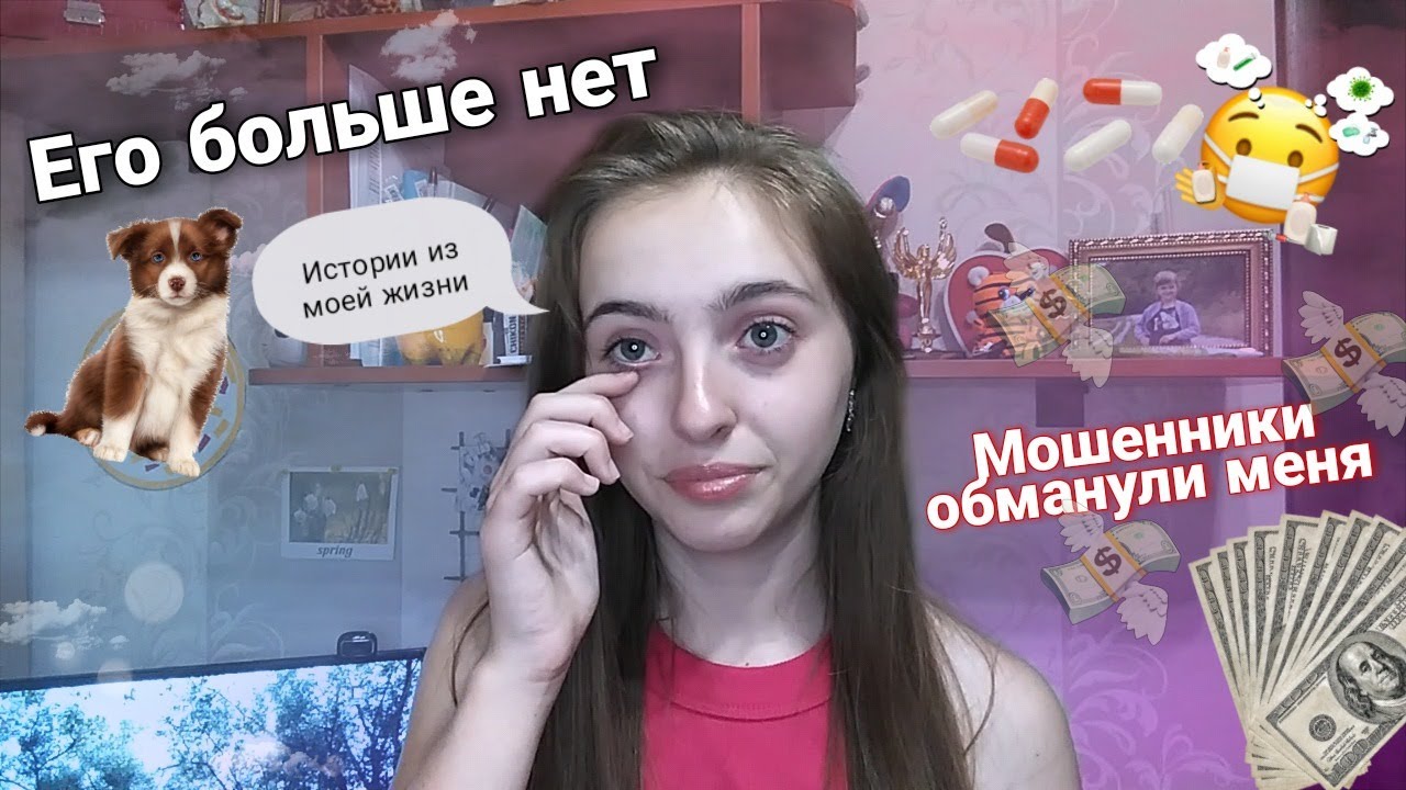 Истории из моей жизни. Моей собаки больше нет.Перевела мошенникам 10 ...