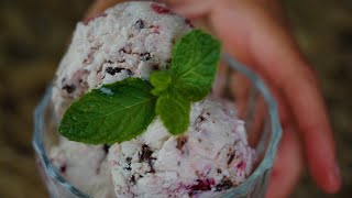 Ep. 003  Chocolate Chip Cherry Ice Cream