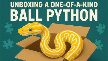 Did we just get the RAREST PUZZLE Ball Python!? UNBOXING our new ONE-OF-A-KIND Ball Python!