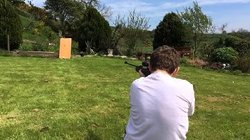 Garden fun with firebird targets