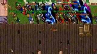 DH WAR WWW VIGOTERIA COM