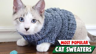 From Sphynx to Maine Coon: Choosing the Right Cat Sweater for ANY Coat by Pet Needs 128 views 13 days ago 12 minutes, 10 seconds